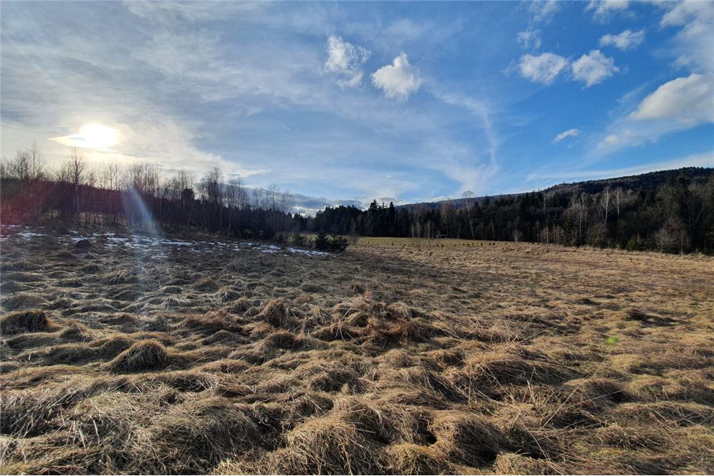 Działka budowlana - Sprzedaż - Bystra, Polska - 12 - 800091026-75