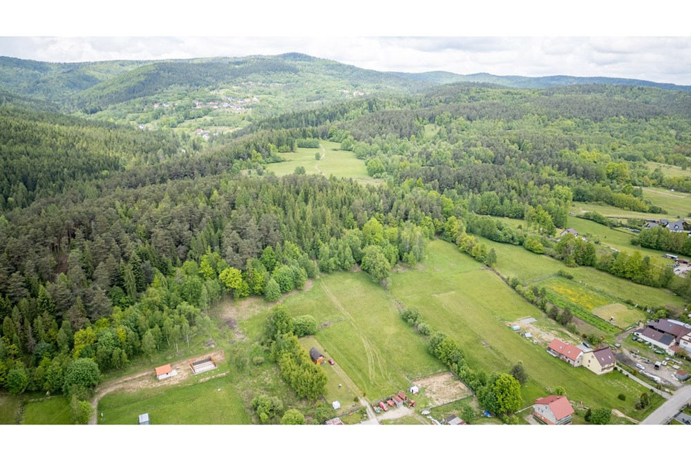 Działka - Sprzedaż - Krzeszów, Polska - DJI_0393.jpg - 470131112-6