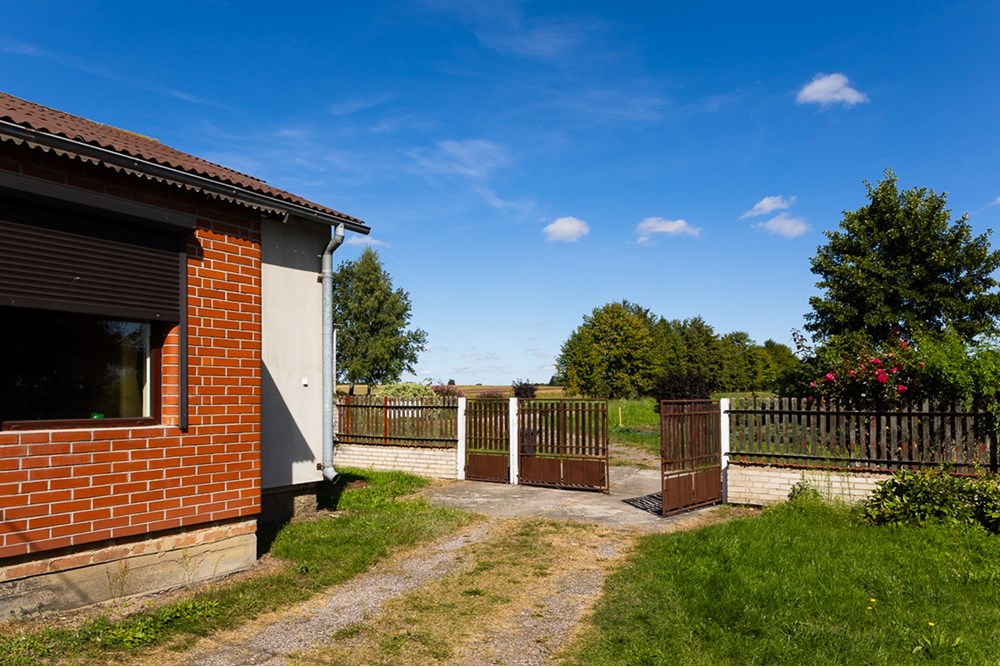 Nieruchomość gruntowa - Sprzedaż - Dalików, Polska - działka-19.jpg - 470291003-12