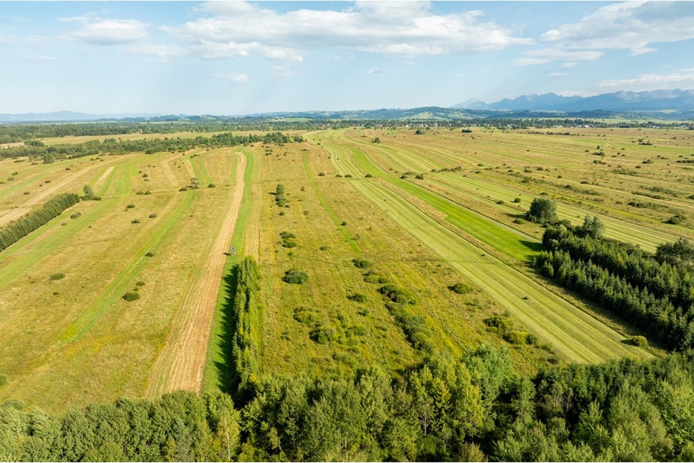 Nieruchomość gruntowa - Sprzedaż - Czarny Dunajec, Polska - 20250828-DJI_0154-HDR.jpg - 470151039-62