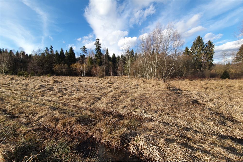 Działka budowlana - Sprzedaż - Bystra, Polska - 8 - 800091026-75