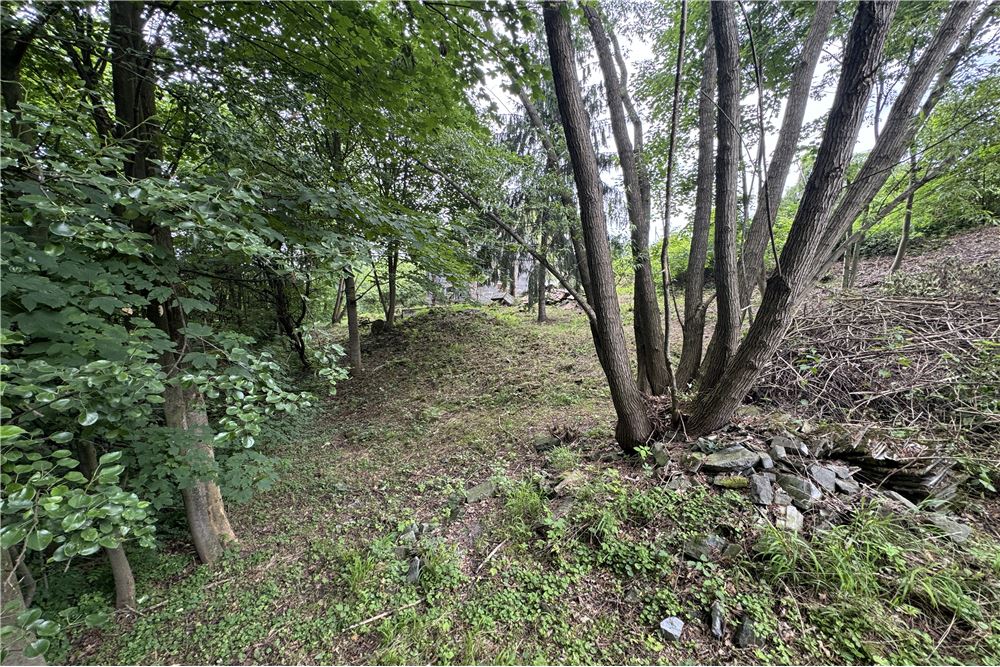 Działka budowlana - Sprzedaż - Chocznia, Polska - 9 - 800061100-85