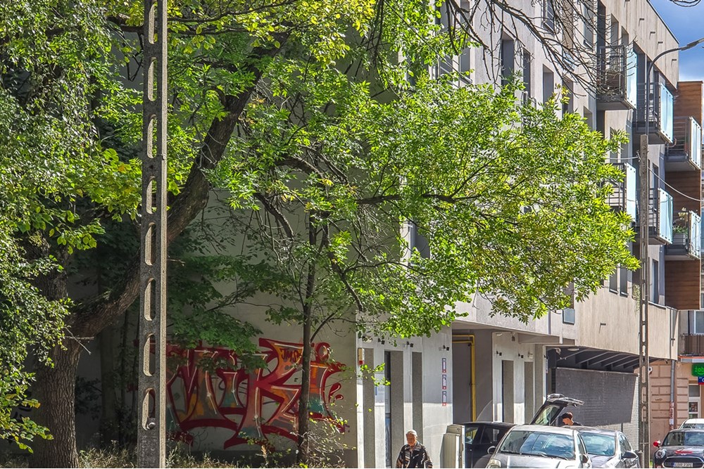 Mieszkanie na parterze - Sprzedaż - Łódź, Polska - Mieszkanie-na-sprzedaz-Lodz-Widzew-10.jpg - 470191045-180