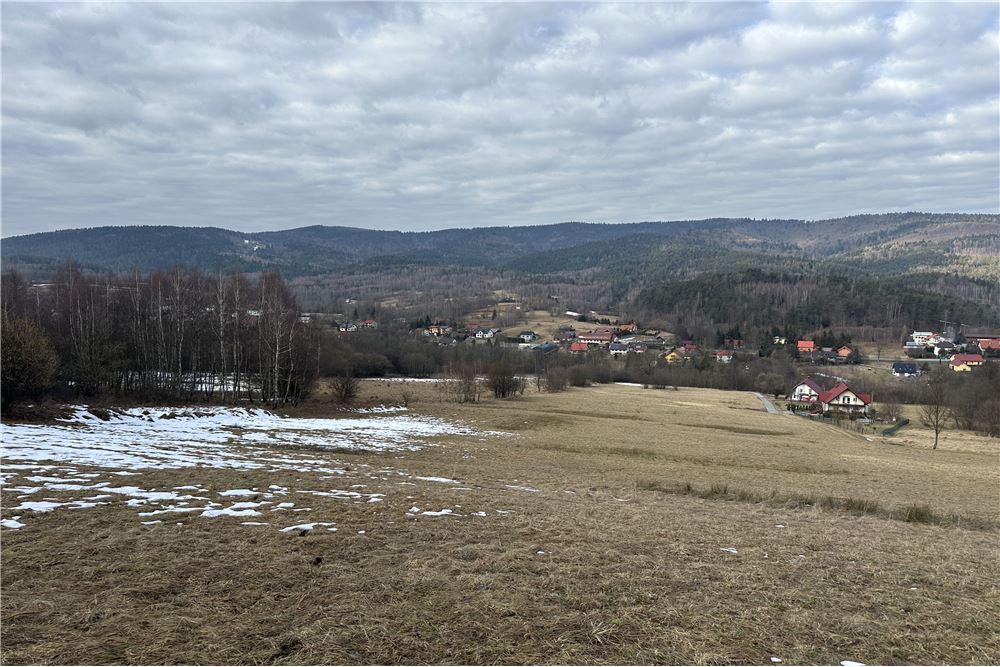 Działka budowlana - Sprzedaż - Las, Polska - 39 - 800061103-198