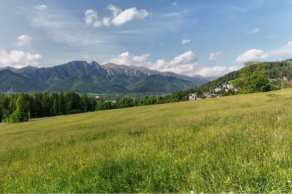 Nieruchomość gruntowa - Sprzedaż - Zakopane, Polska - DJI_20250607080729_0948_D.JPG - 800091054-33