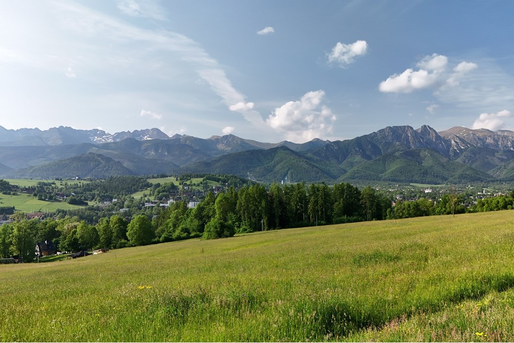 Nieruchomość gruntowa - Sprzedaż - Zakopane, Polska - DJI_20250607080155_0925_D.JPG - 800091054-33