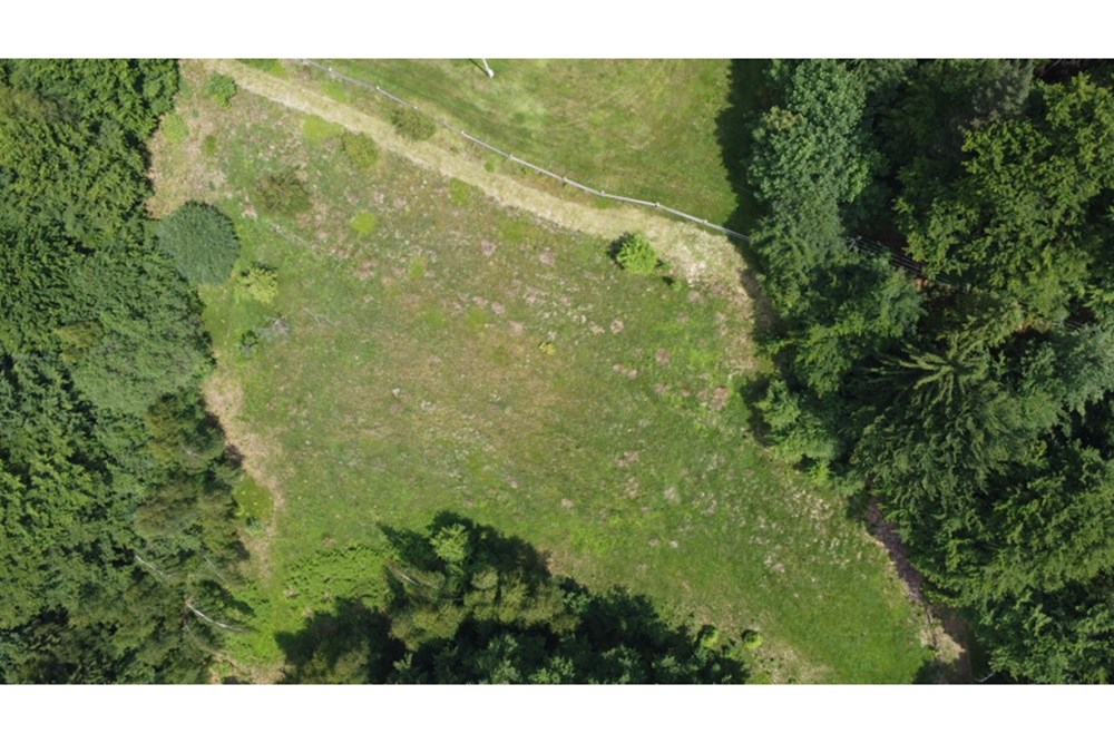 Działka - Sprzedaż - Wilkowice, Polska - 3.jpg.jpg - 800061116-13