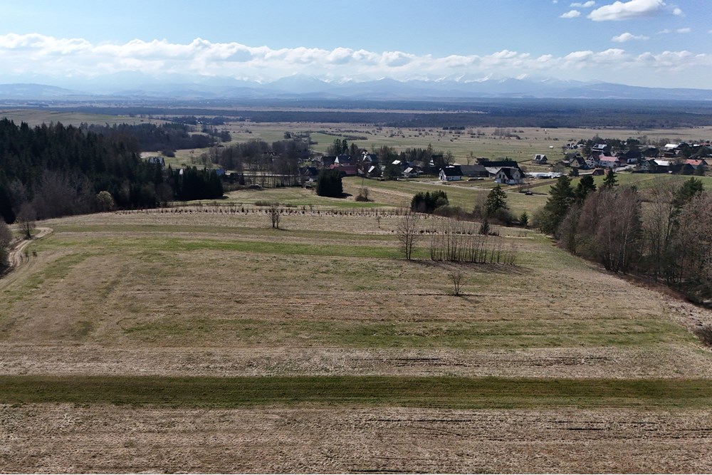 Działka - Sprzedaż - Odrowąż, Polska - DJI_20250404110539_0791_D.JPG - 800091055-1