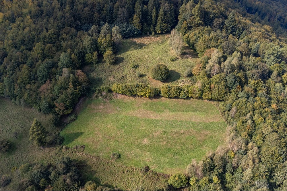 Działka budowlana - Sprzedaż - Międzybrodzie Bialskie, Polska - DJI_0519.jpg - 800061103-193