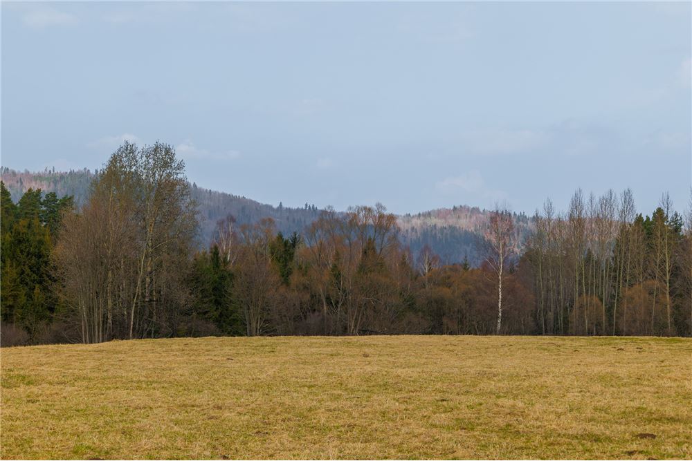 Działka - Sprzedaż - Sopotnia Wielka, Polska - 7 - 800061057-192