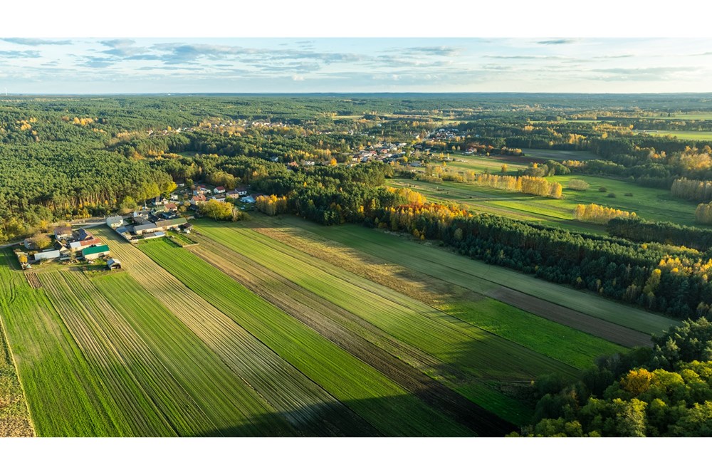 Dom wolnostojący - Sprzedaż - Toporów, Polska - 1 (9).jpg - 810251052-72