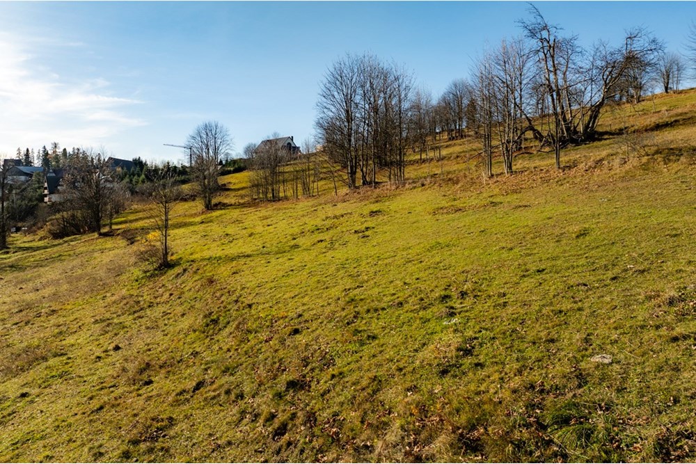 Działka - Sprzedaż - Rzepiska, Polska - 20251114-DJI_0869-HDR.jpg - 800091045-42