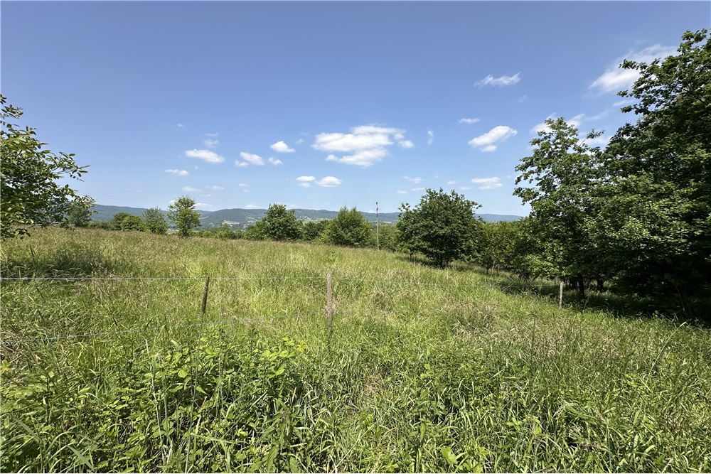 Działka budowlana - Sprzedaż - Rychwałd, Polska - 88 - 800061103-169