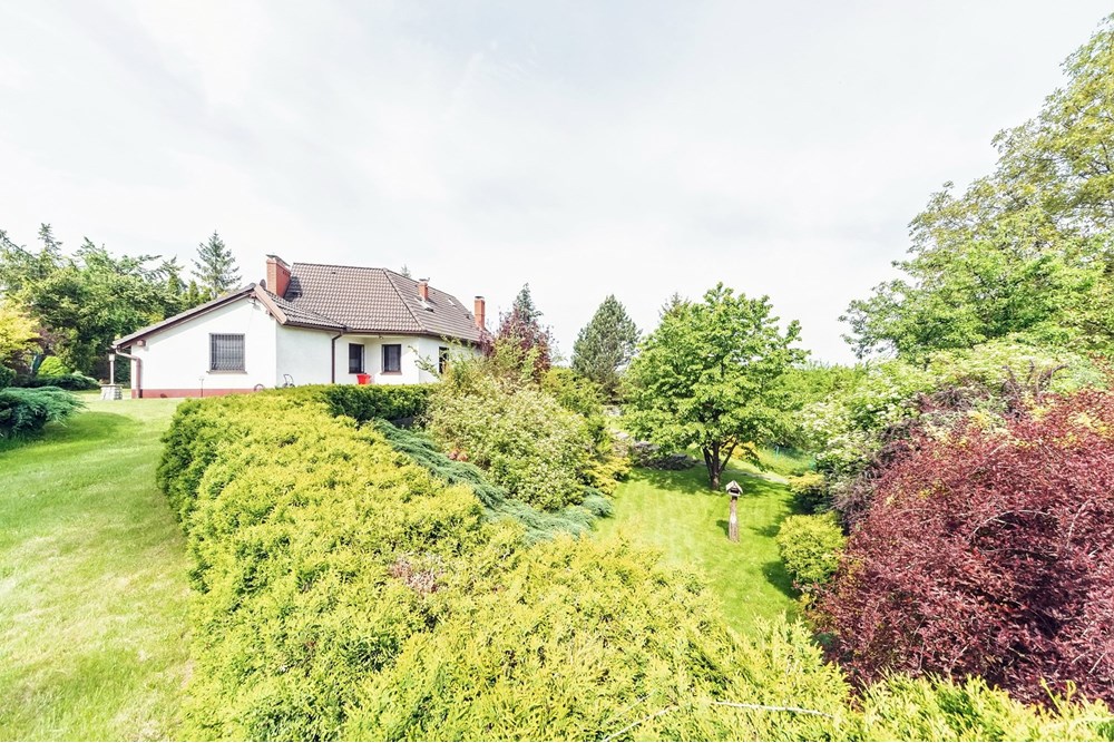 Dom wolnostojący - Sprzedaż - Górki Wielkie, Polska - 51.jpg - 470131026-169