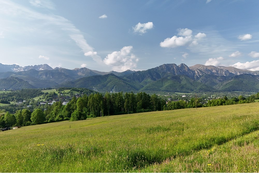 Nieruchomość gruntowa - Sprzedaż - Zakopane, Polska - DJI_20250607080144_0922_D.JPG - 800091054-33