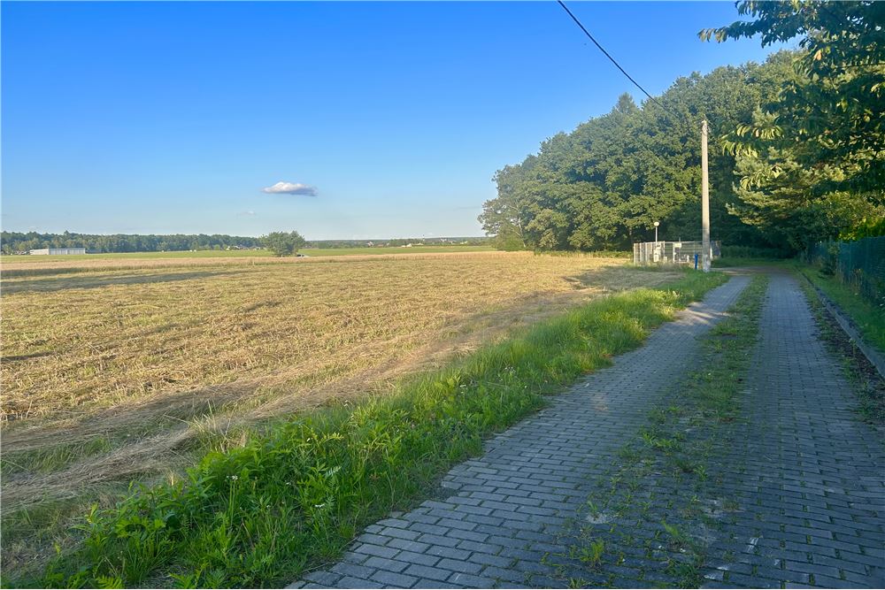 Działka budowlana - Sprzedaż - Rybnik, Polska - 8 - 800061090-241