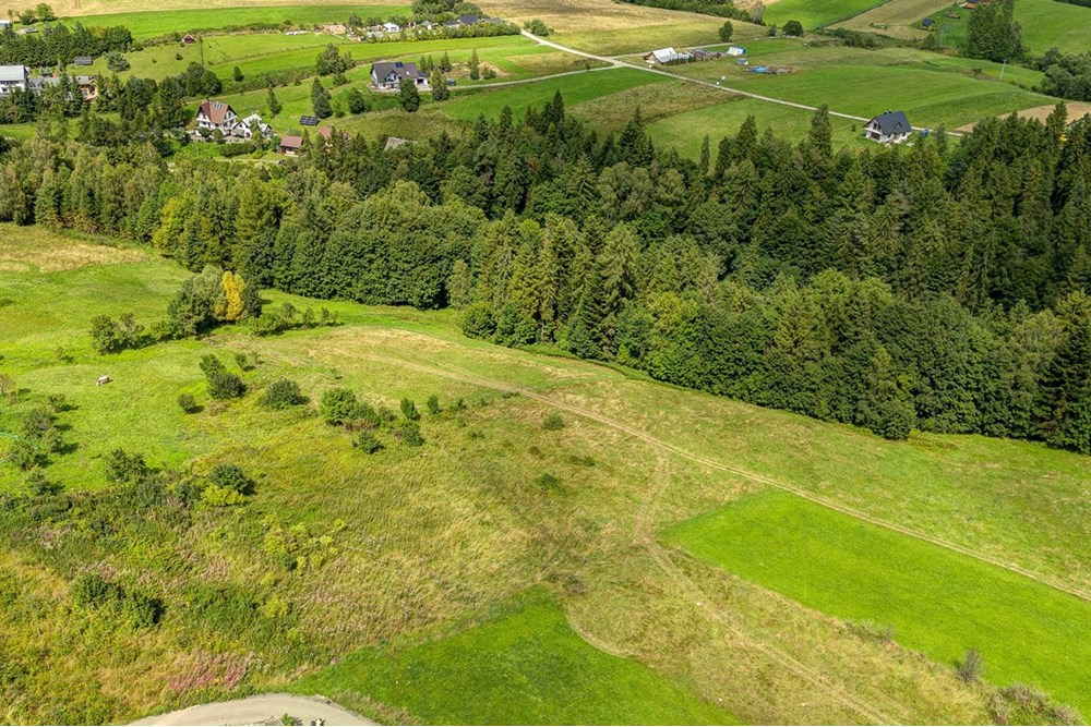 Działka - Sprzedaż - Krośnica, Polska - 0004_pajerski-dzialka-krosnica.jpg - 470131113-349