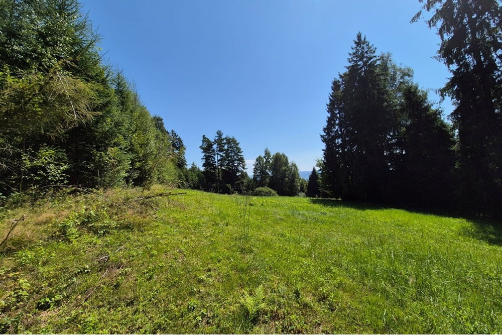 Działka budowlana - Sprzedaż - Naprawa, Polska - biuro nieruchomości (6).jpg - 800091026-80