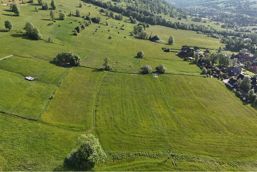 Nieruchomość gruntowa - Sprzedaż - Zakopane, Polska - DJI_20250607080525_0937_D.JPG - 800091054-33