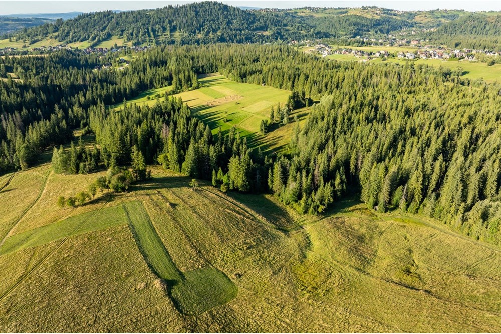 Działka - Sprzedaż - Zakopane, Polska - 20250826-DJI_0037-HDR.jpg - 470151024-450