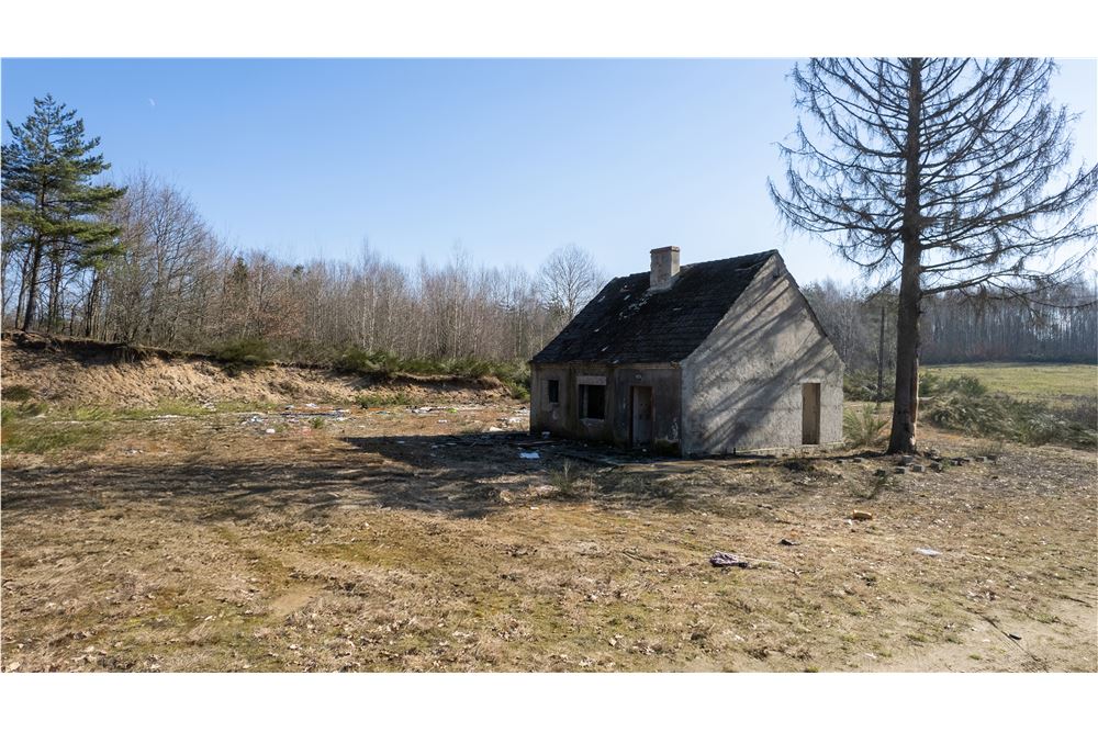 Dom wolnostojący - Sprzedaż - Jatynia, Polska - 11 - 470281009-39