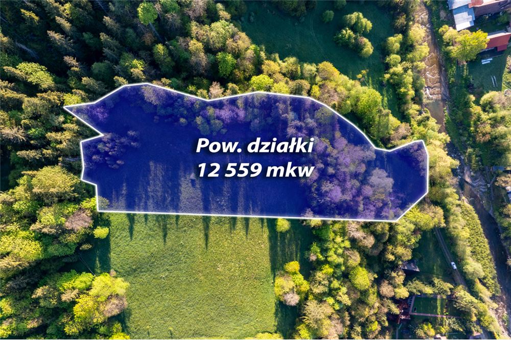 Działka - Sprzedaż - Poronin, Polska - 2 - 470151035-135