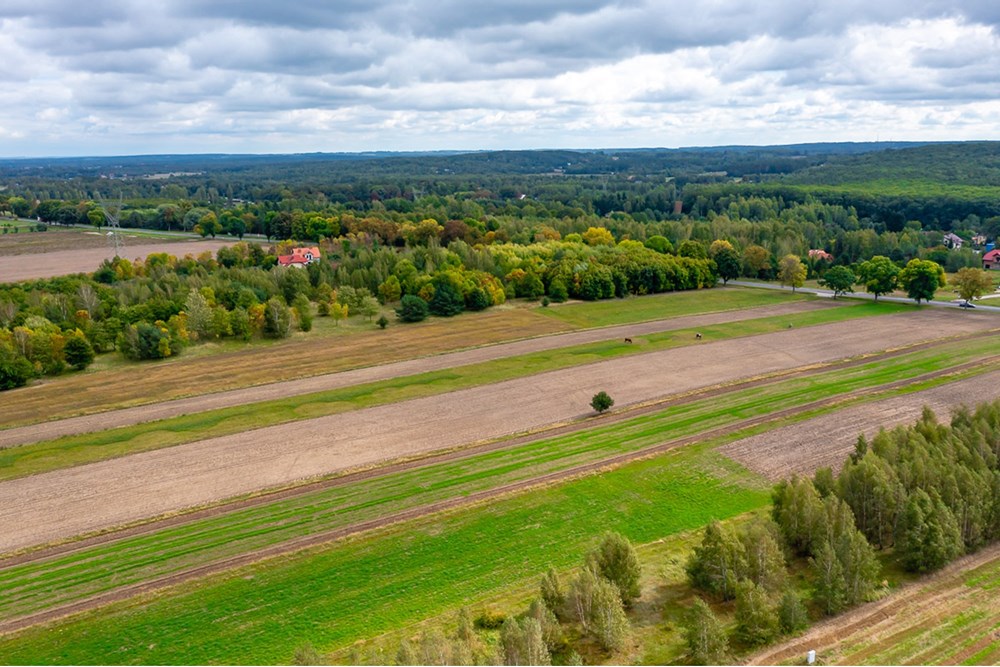Działka - Sprzedaż - Skotniki, Polska - Dzialka-budowlana-na-sprzedaz-Skotniki-Zgierz-Lodz-14.jpg - 470191057-32