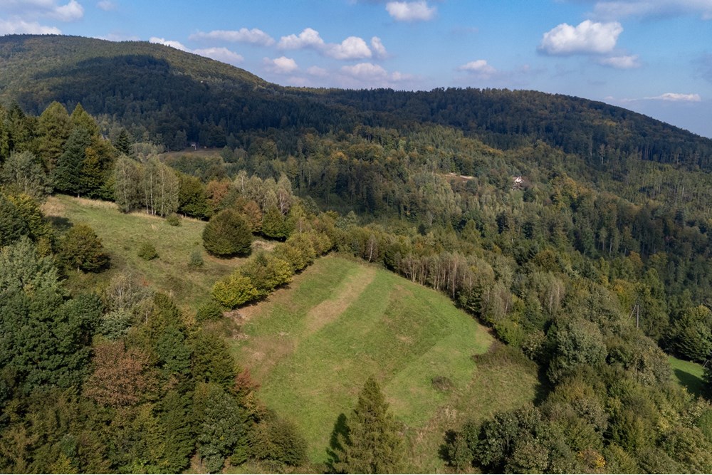 Działka budowlana - Sprzedaż - Międzybrodzie Bialskie, Polska - DJI_0527.jpg - 800061103-193