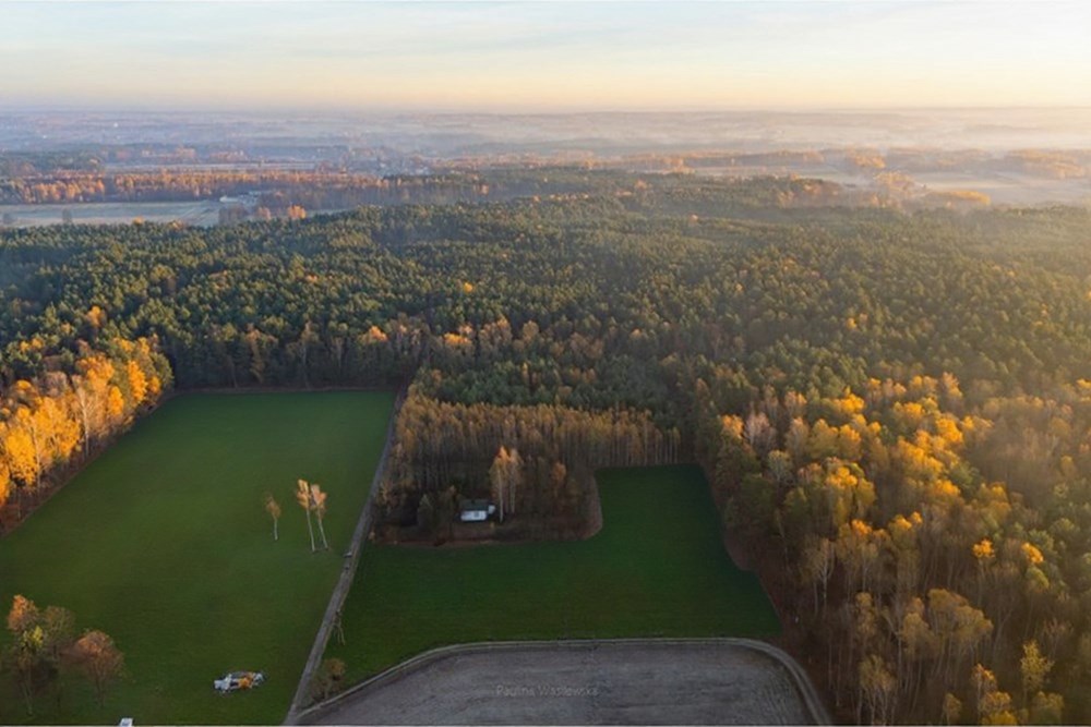 Działka budowlana - Sprzedaż - Ostrowik, Polska - 8.jpg - 810131026-128