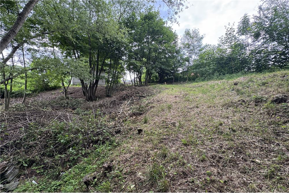 Działka budowlana - Sprzedaż - Chocznia, Polska - 10 - 800061100-85