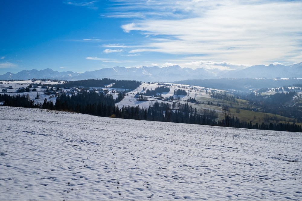 Działka - Sprzedaż - Ratułów, Polska - PB130014.jpg - 470151035-149