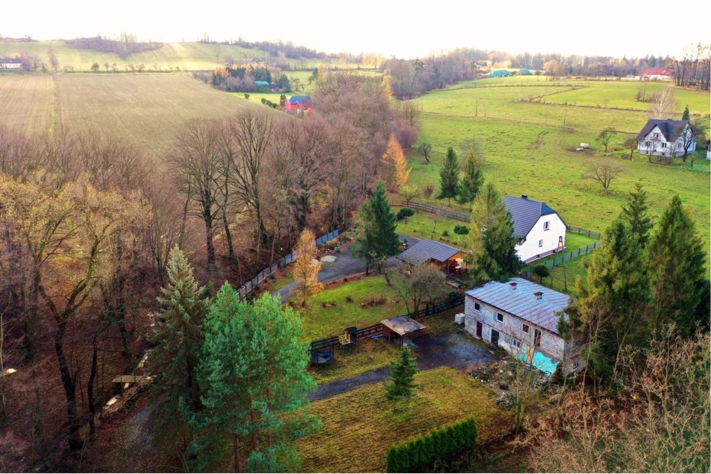 Dom wolnostojący - Sprzedaż - Puńców, Polska - 30.JPG - 470131110-6