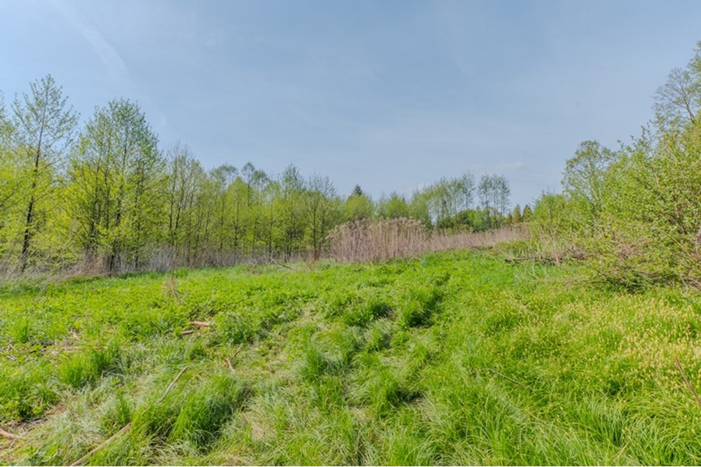 Działka - Sprzedaż - Barwałd Średni, Polska - BARWAŁD ŚREDNI_15.JPG - 470131106-29