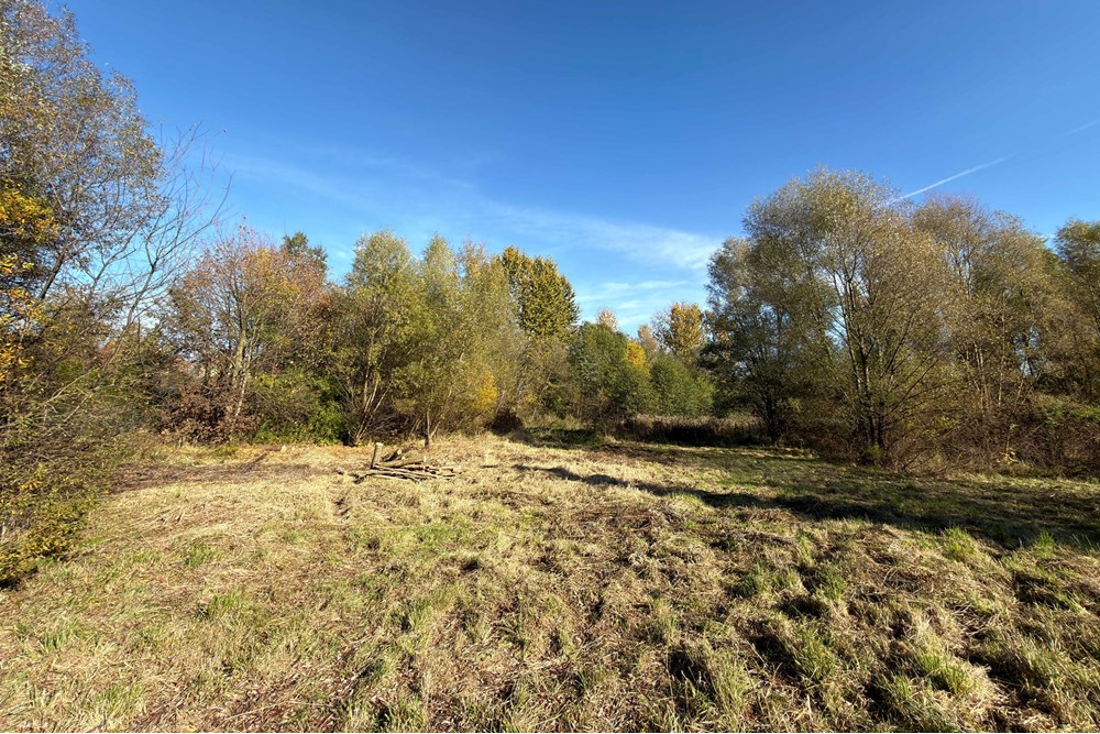 Działka budowlana - Sprzedaż - Słomniki, Polska - 3.jpg - 800241049-15