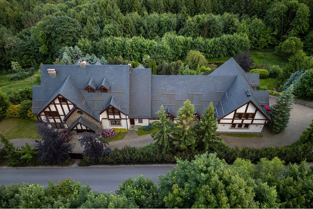 Rezydencja/Willa/Dworek - Sprzedaż - Srebrna Góra, Polska - 024 front z lotu ptaka.jpg - 800271021-13