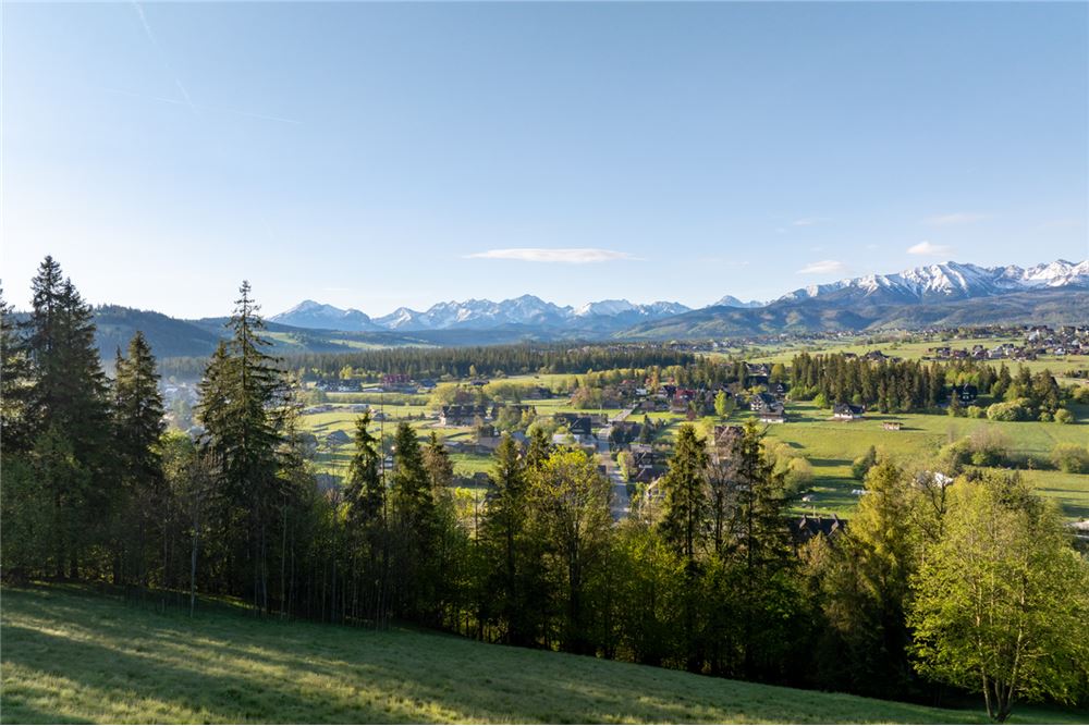 Działka - Sprzedaż - Poronin, Polska - 12 - 470151035-135