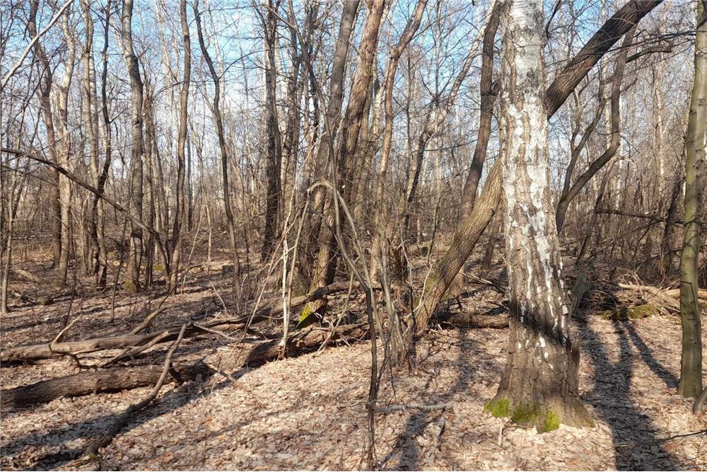 Działka - Sprzedaż - Kraków, Polska - 19 - 800241031-34