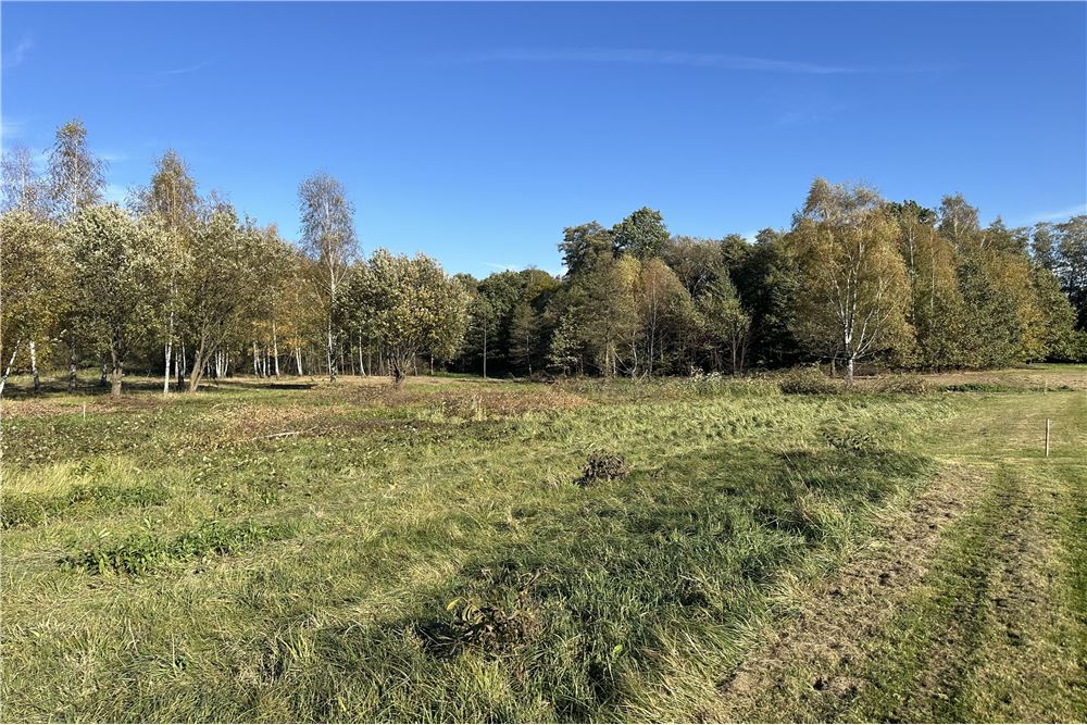 Działka budowlana - Sprzedaż - Jasienica, Polska - 12 - 800061103-173