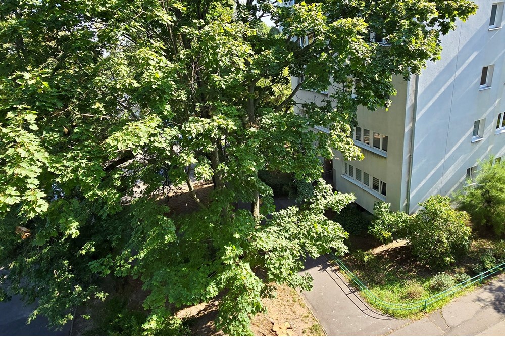 Mieszkanie - Wynajem - Warszawa, Polska - 20250813_092612.jpg - 810051040-256