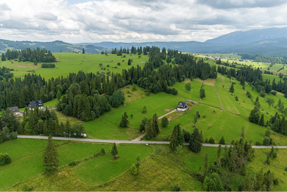 Działka budowlana - Sprzedaż - Rzepiska, Polska - 0015_pajers-dzialka-rzepiska.jpg - 470131113-323