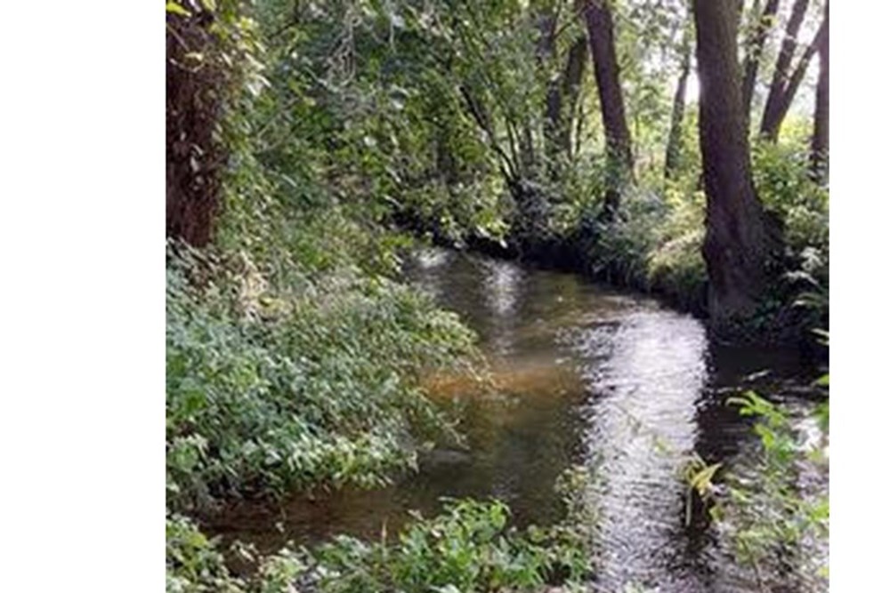 Działka - Sprzedaż - Kęty, Polska - kety12.jpg - 470131109-33