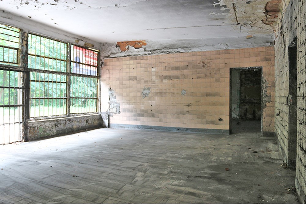 Nieruchomość inwestycyjna - Sprzedaż - Zabrze, Polska - Zabrze Szybowa (13).JPG - 800041074-16