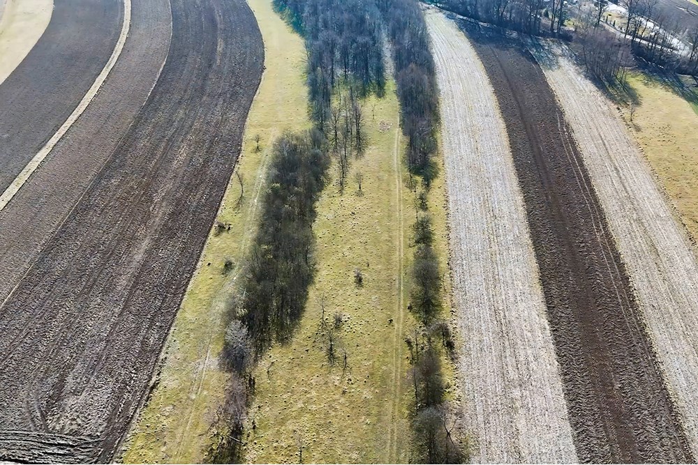 Nieruchomość gruntowa - Sprzedaż - Rzezawa, Polska - 1f.jpg - 800241049-4