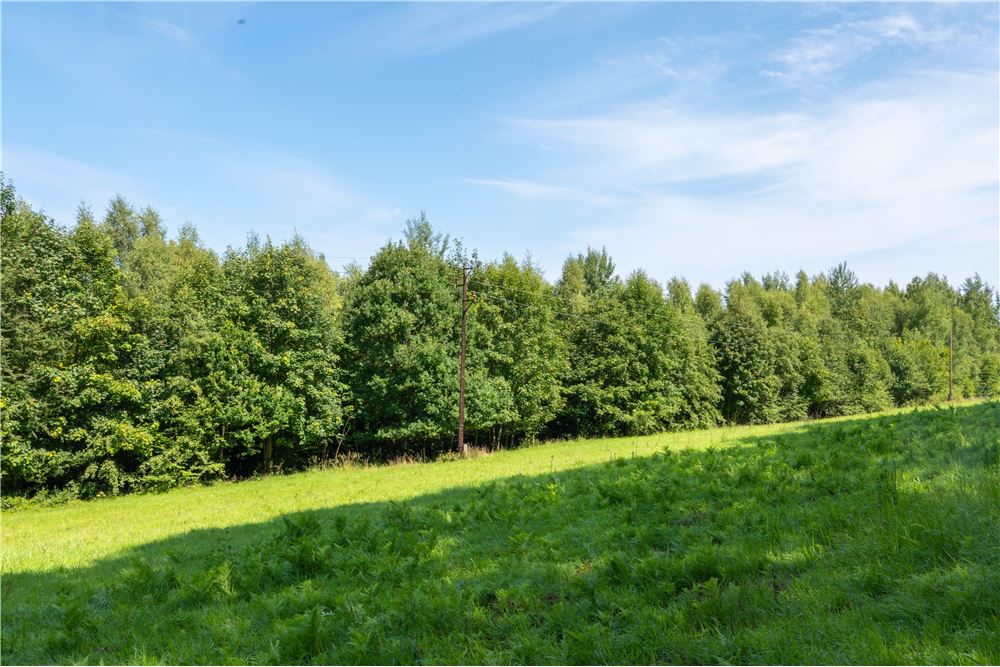 Działka - Sprzedaż - Tarnawa Dolna, Polska - 53 - 800061116-22