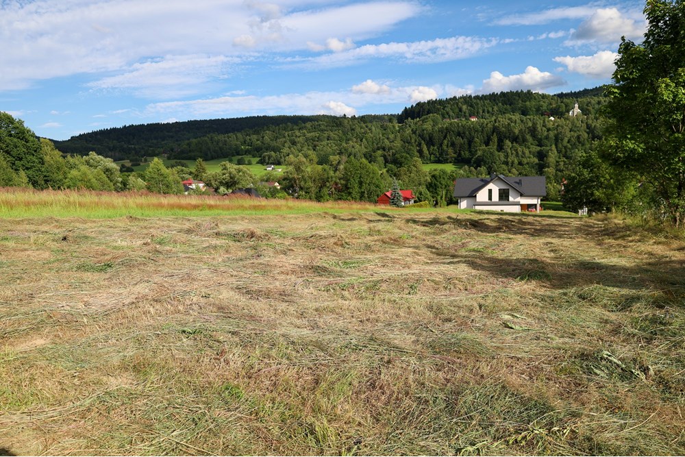 Działka - Sprzedaż - Ślemień, Polska - główne.jpg - 800061130-24