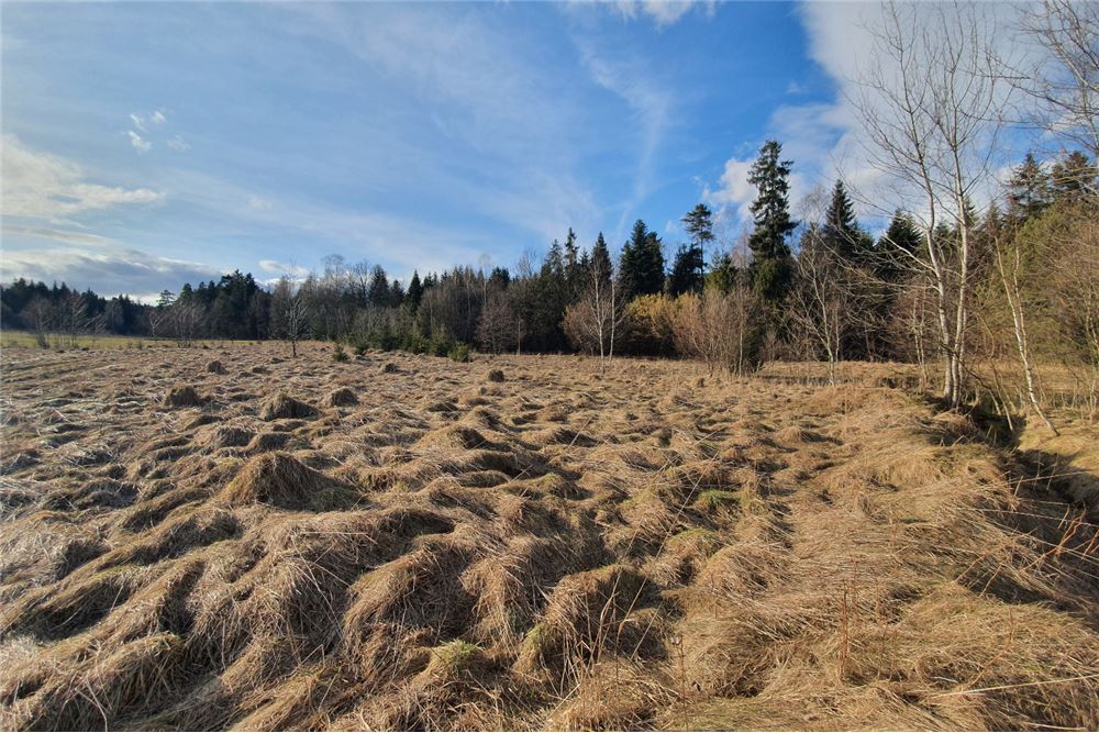 Działka budowlana - Sprzedaż - Bystra, Polska - 7 - 800091026-75