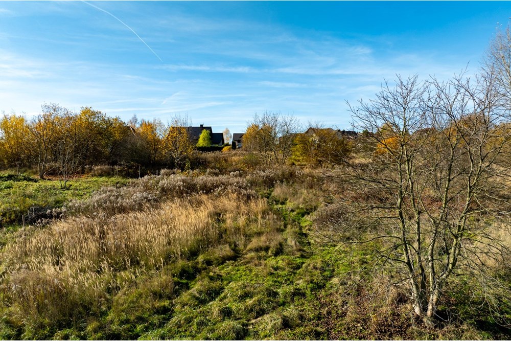Działka budowlana - Sprzedaż - Siedlec, Polska - 20251031-DJI_0176-HDR.jpg - 800241005-217