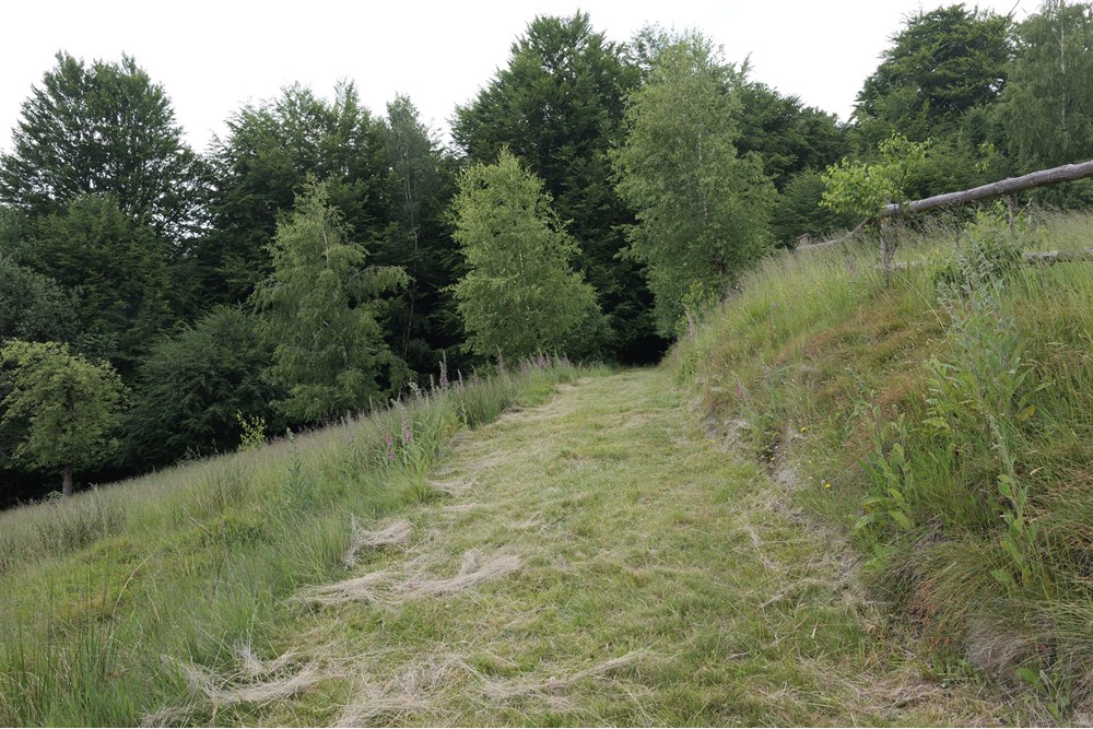 Działka - Sprzedaż - Wilkowice, Polska - P1011719.JPG - 800061116-13