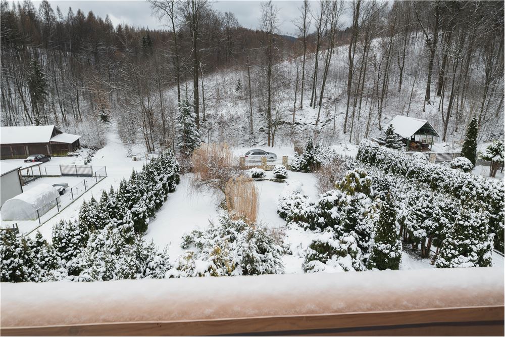 Rezydencja/Willa/Dworek - Sprzedaż - Ponikiew, Polska - 20 - 800061126-8