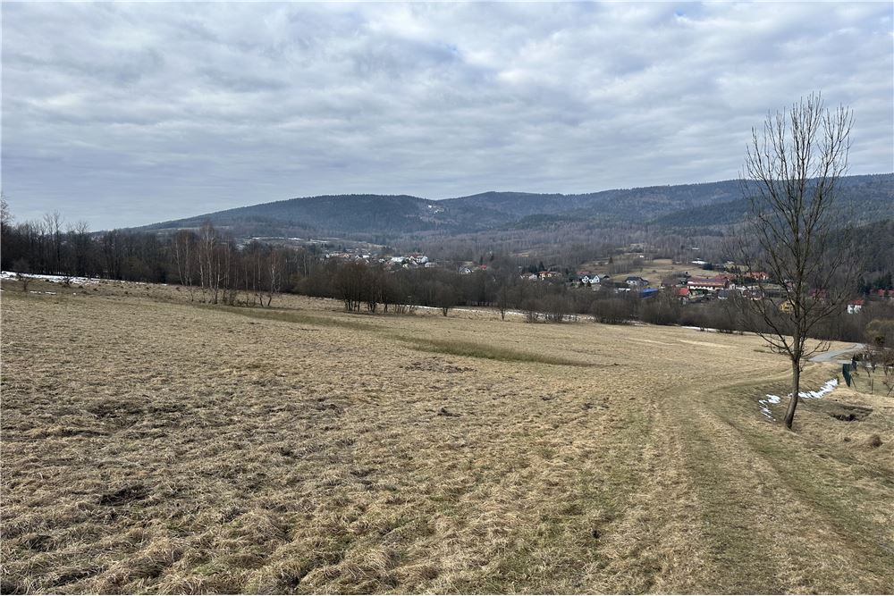 Działka budowlana - Sprzedaż - Las, Polska - 48 - 800061103-198